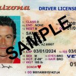 AZ Drivers License