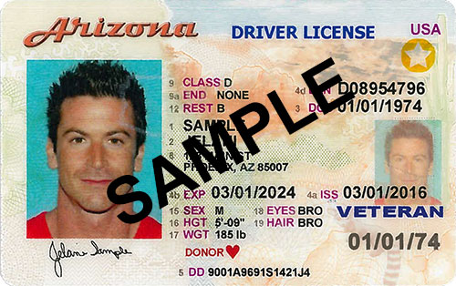 AZ Drivers License